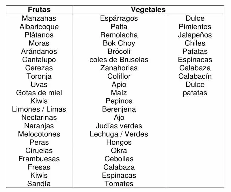 lista de comestibles a base de plantas