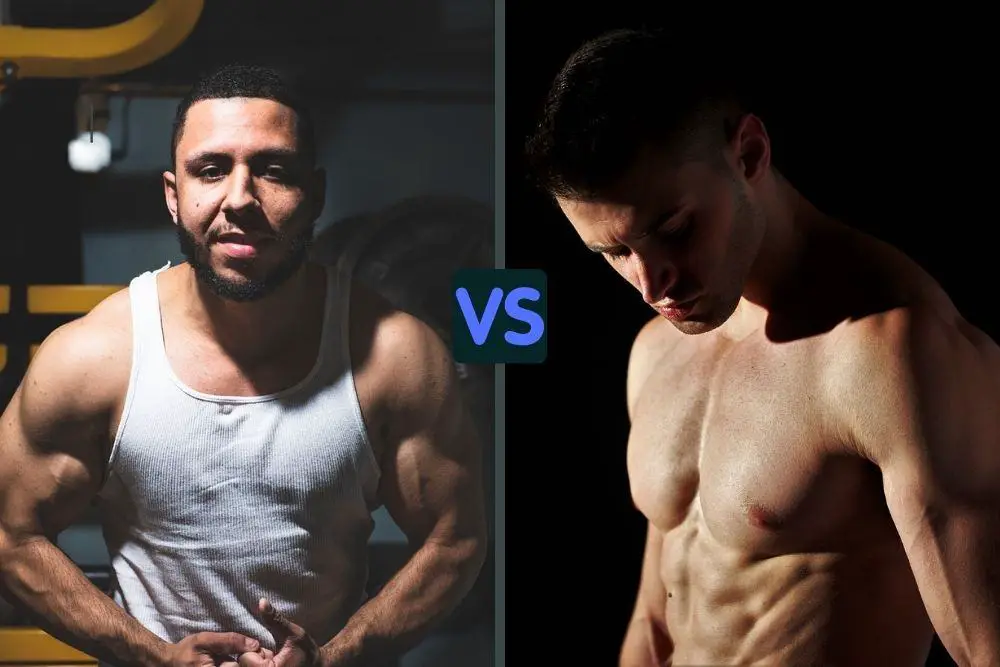 lean vs muscular body