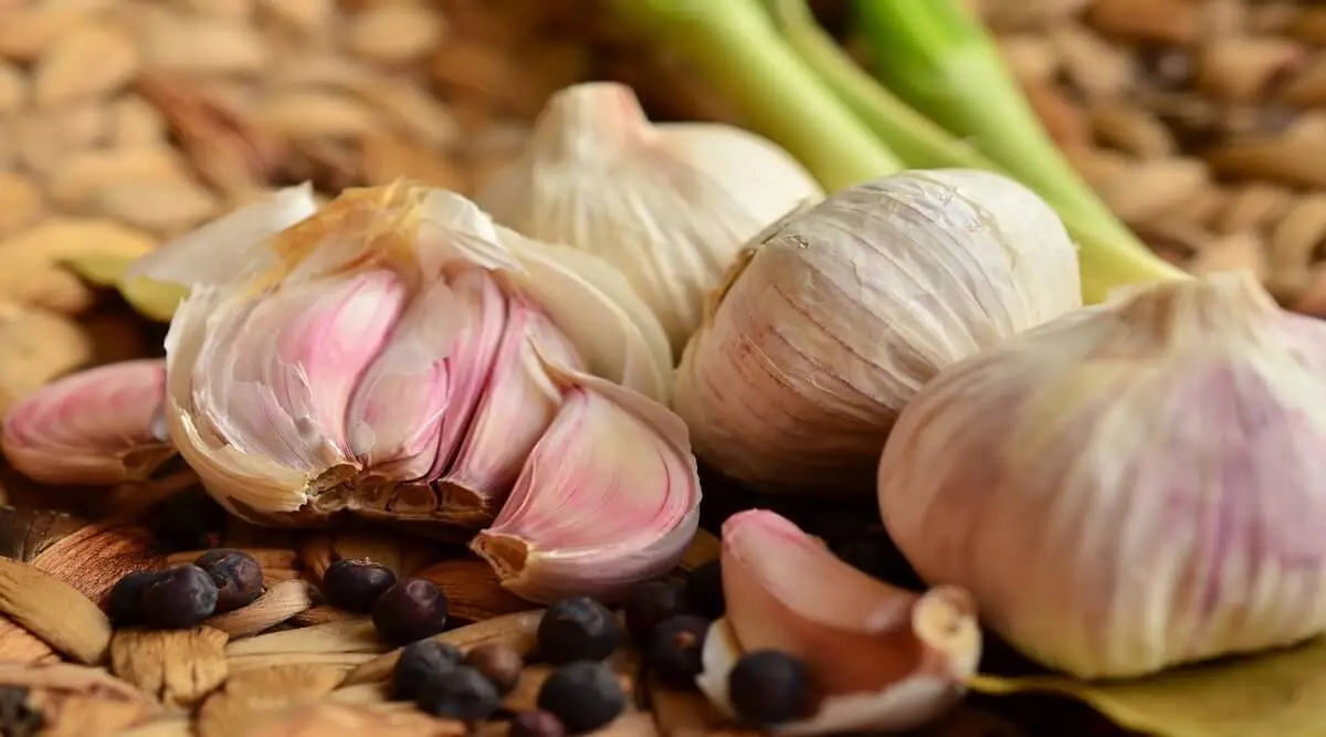can garlic worsen stomach ulcers