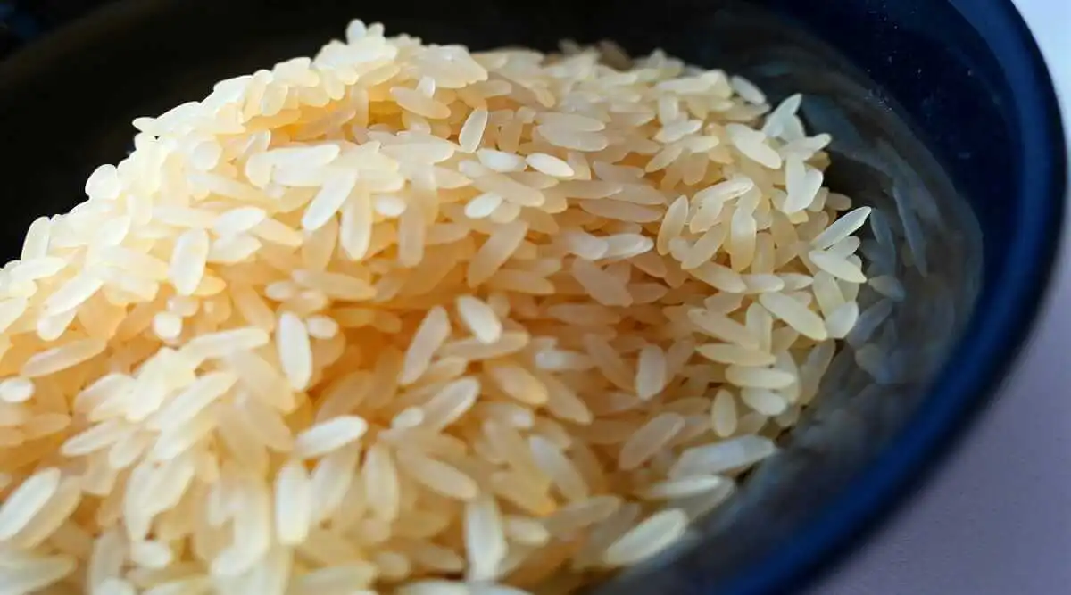 can we eat rice at night for weight loss